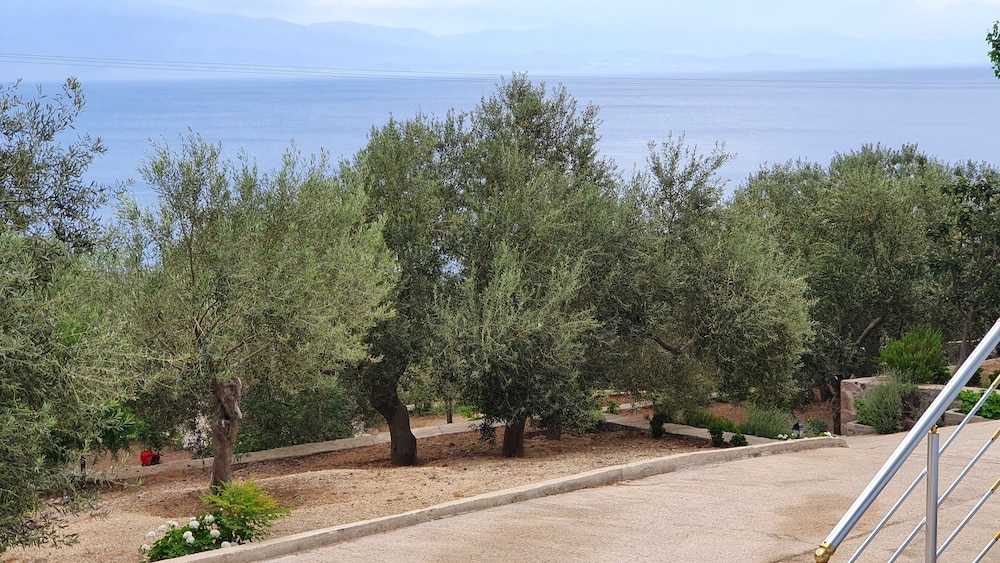 Nazan Motel & Restaurant & Beach 24/50