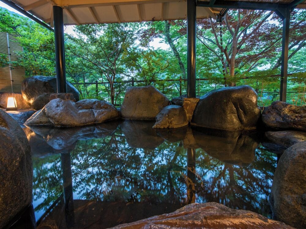 Kinugawa Park Hotel 16/50