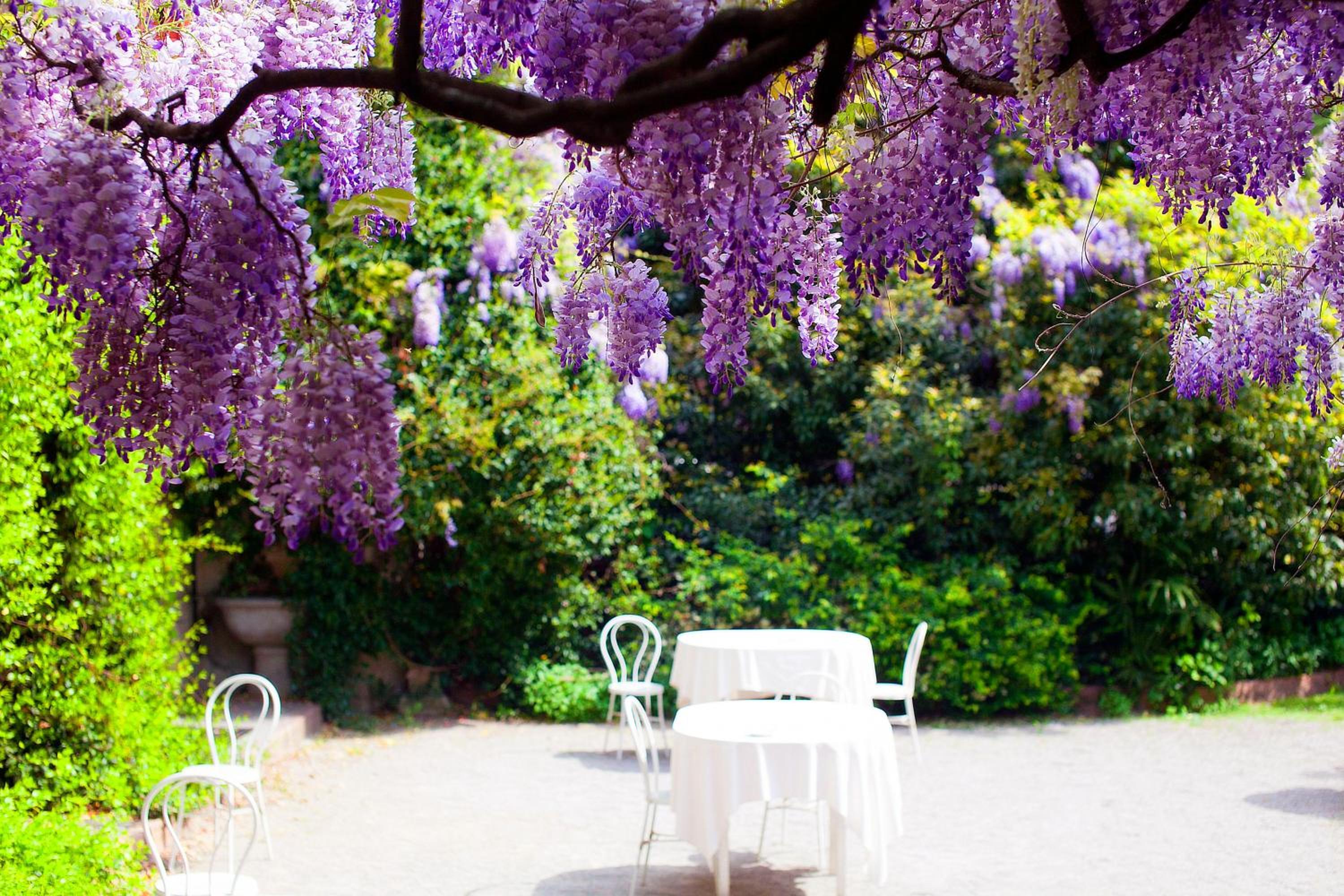 Albergo Ristorante la Madonnina 54/57