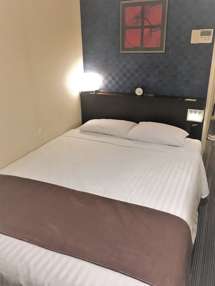 Via Inn Asakusa(Ex. Blue Wave Inn Asakusa) 7/30