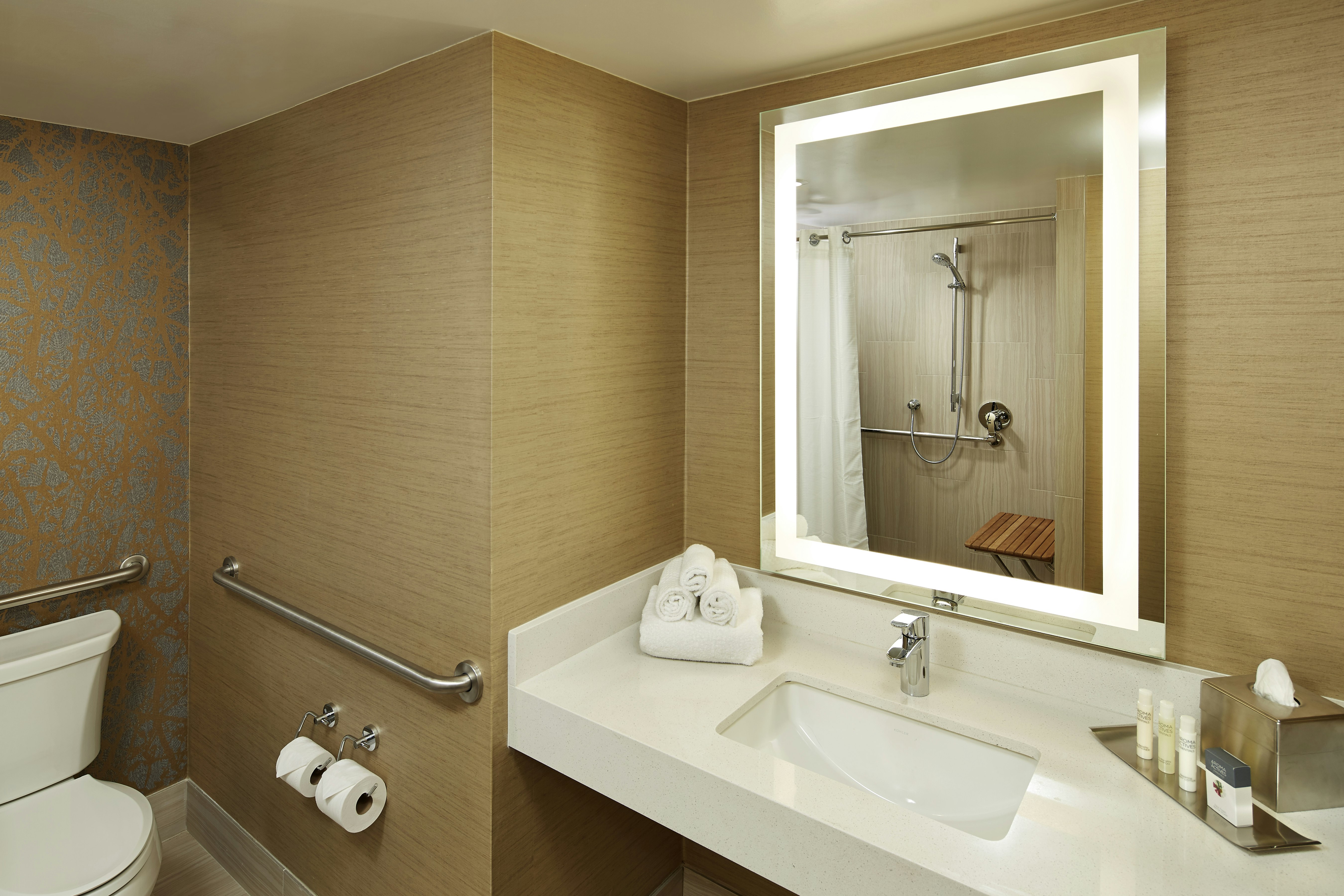 Room, King Bed, Mountain or Pool View, Accessible