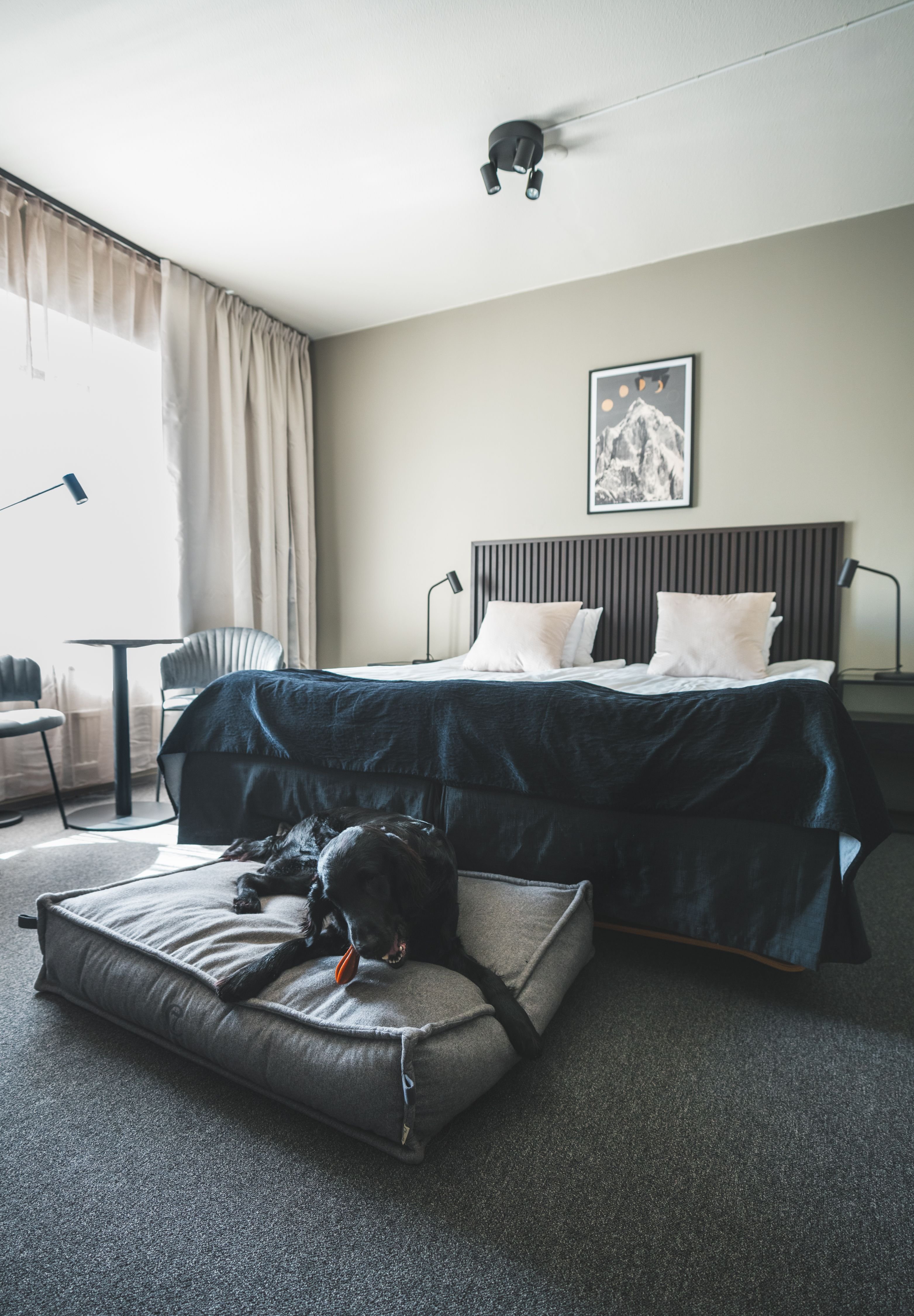 VICI Hotels Linkoping 4/8