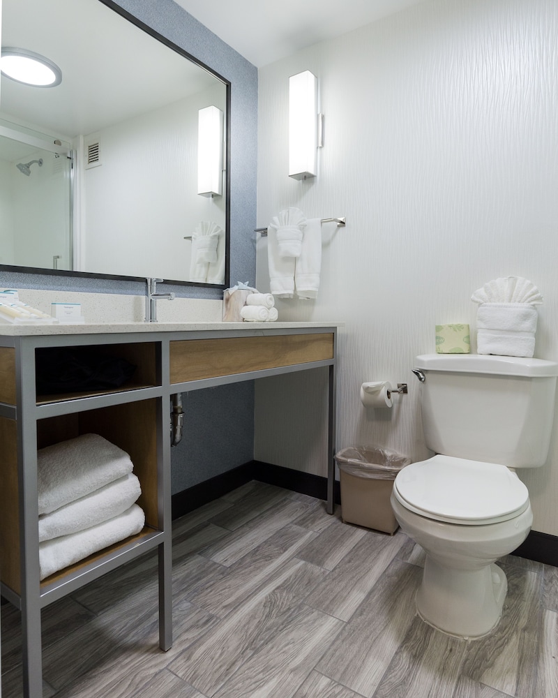 Hilton Garden Inn Atlanta Northpoint Hotel 23/65
