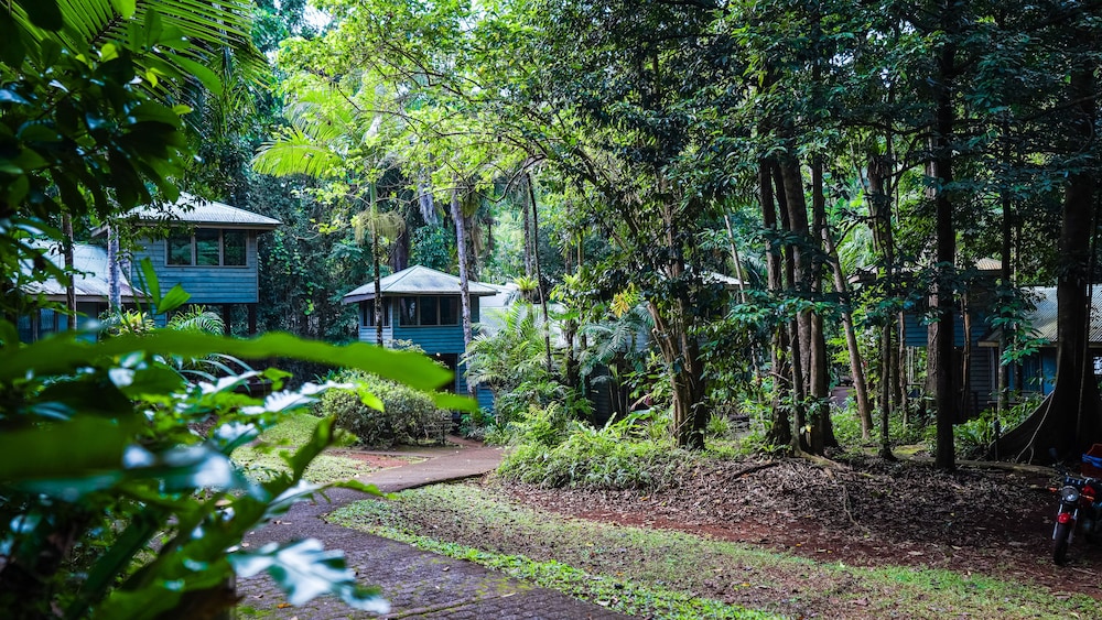 Ferntree Rainforest Lodge 39/46