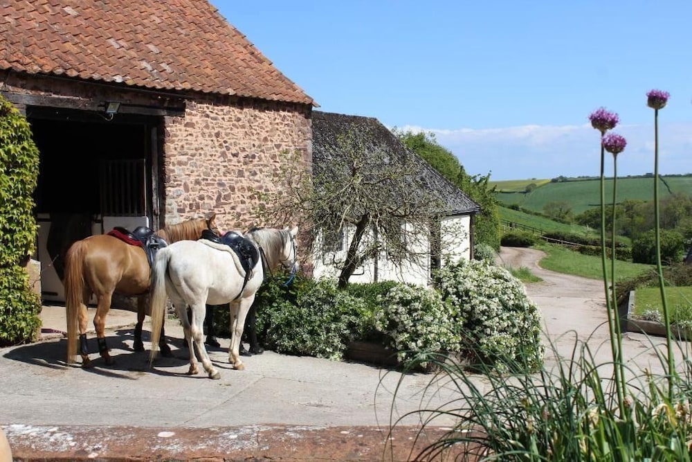 Pardlestone Farm Groom S Cottage 9/50