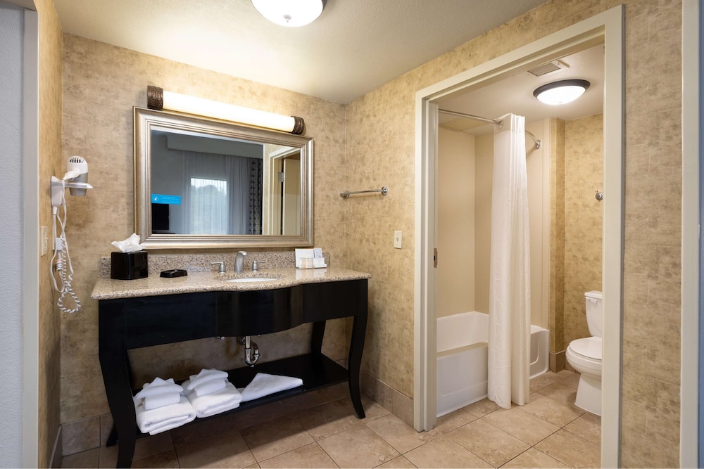 Hampton Inn and Suites Baton Rouge I 10 East 15/56
