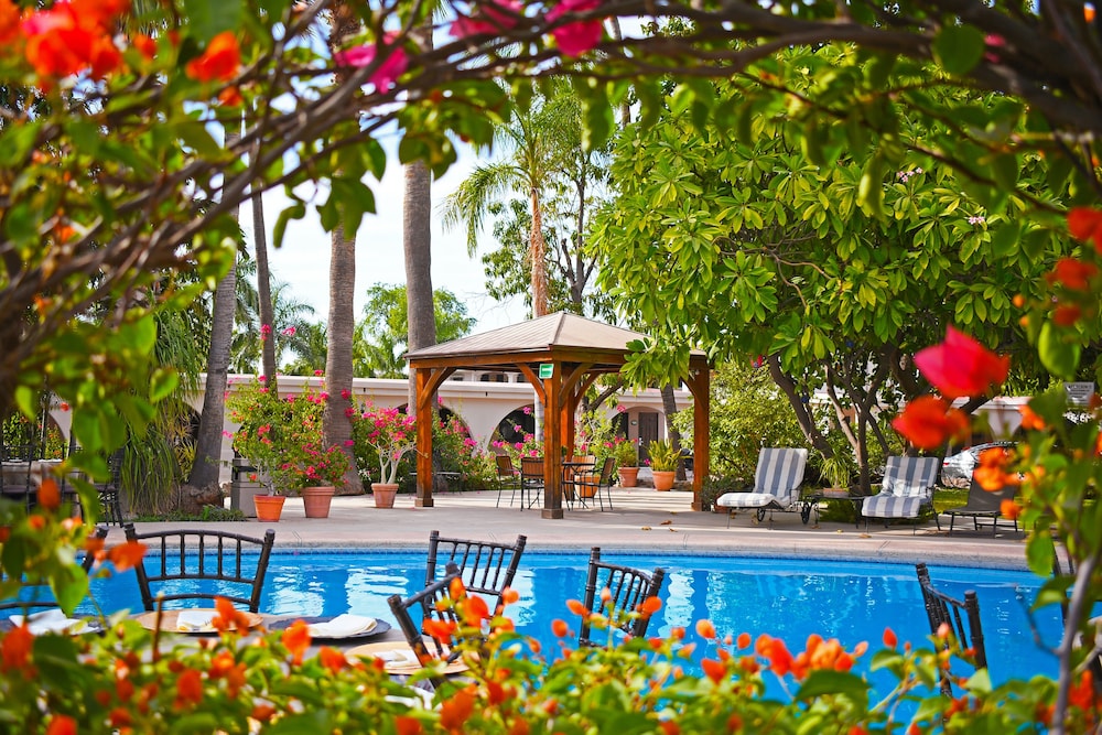 Hotel Del Rio 59/62