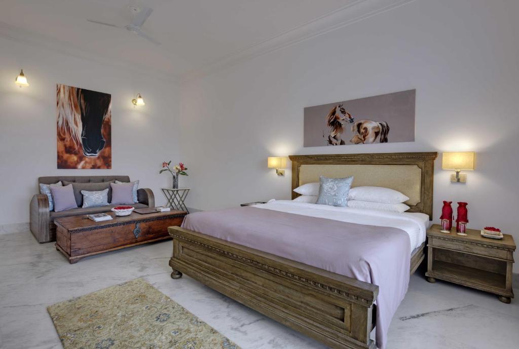 Suite, Plunge Pool