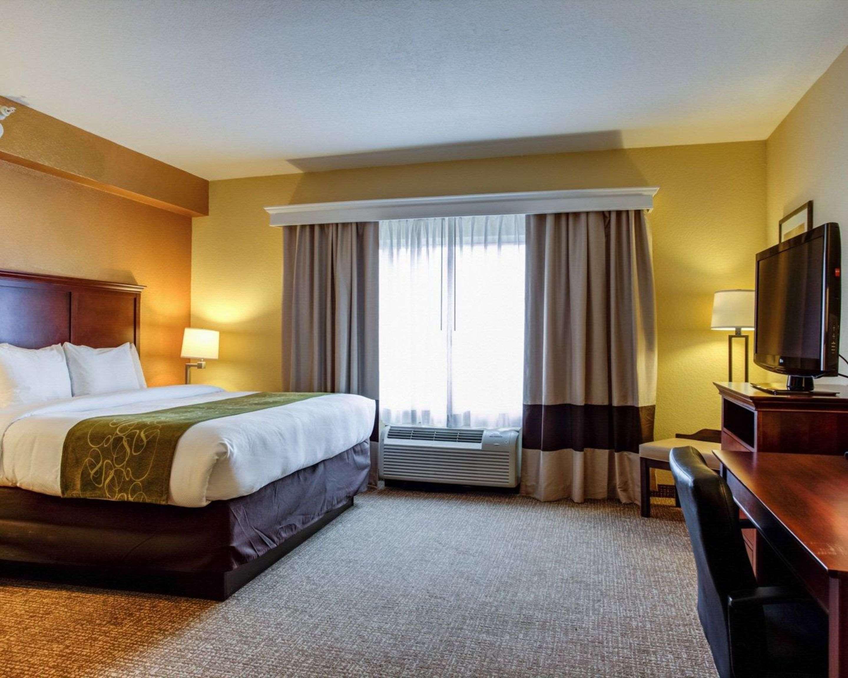 SUITE, KING BED