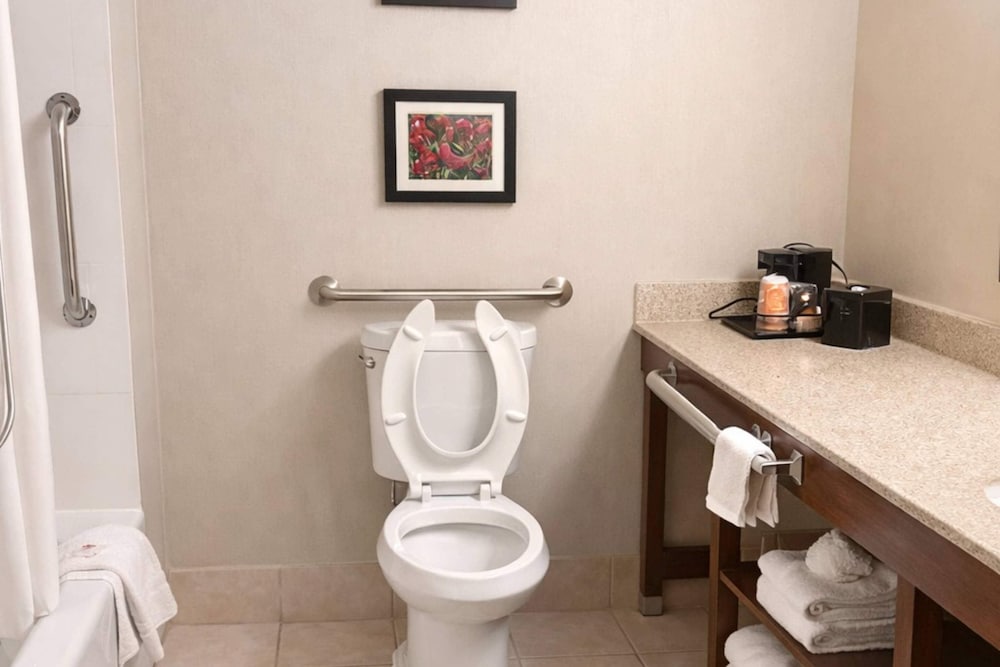 غرفة بسرير كينج لذوي الإعاقة، Comfort Inn Farmington Hills - Detroit Northwest 6/6