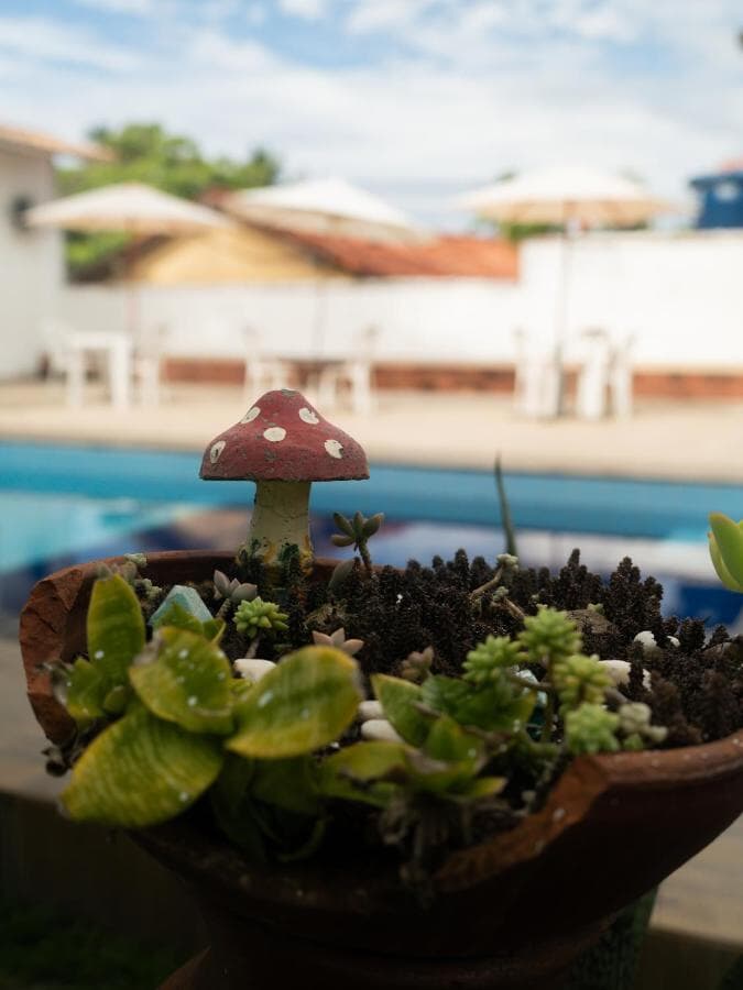 Pousada Terra Nostra 25/50