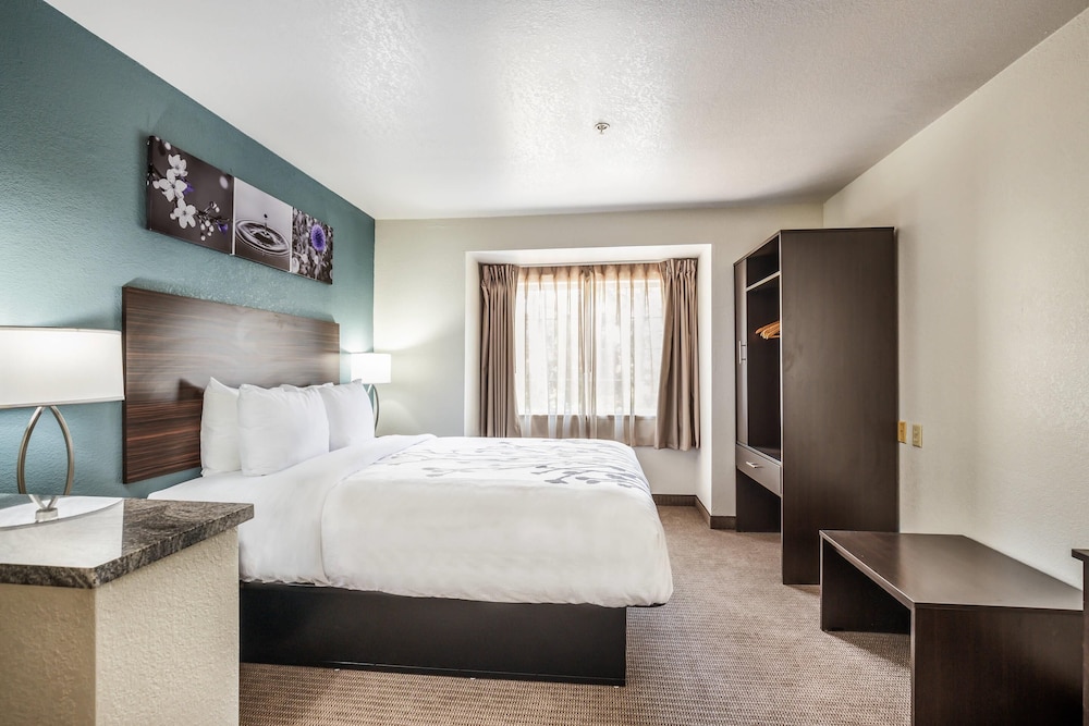 SUITE, QUEEN BED