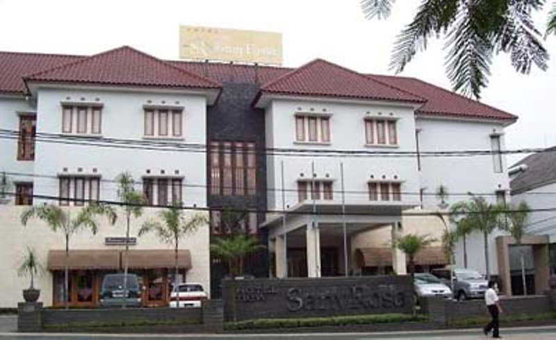 Sany Rosa Hotel 1/17
