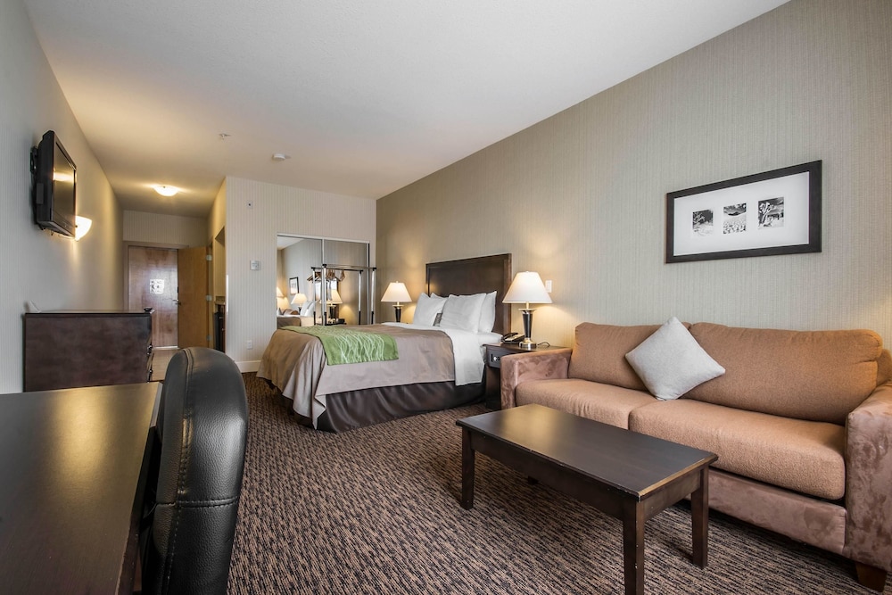 Comfort Inn & Suites Surrey 16/60