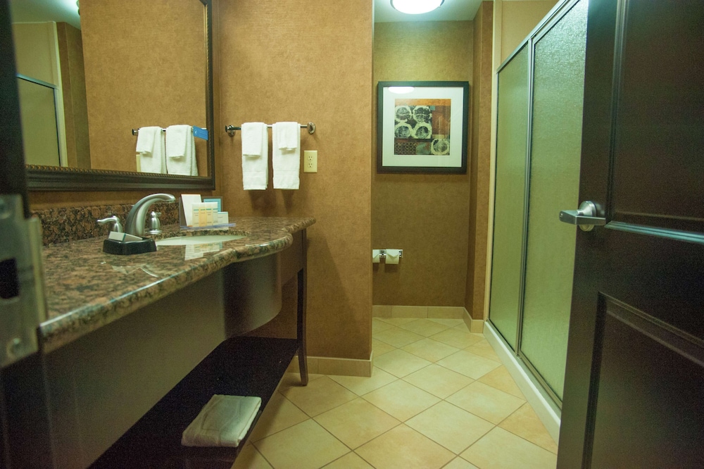 Hampton Inn & Suites Palestine 20/31