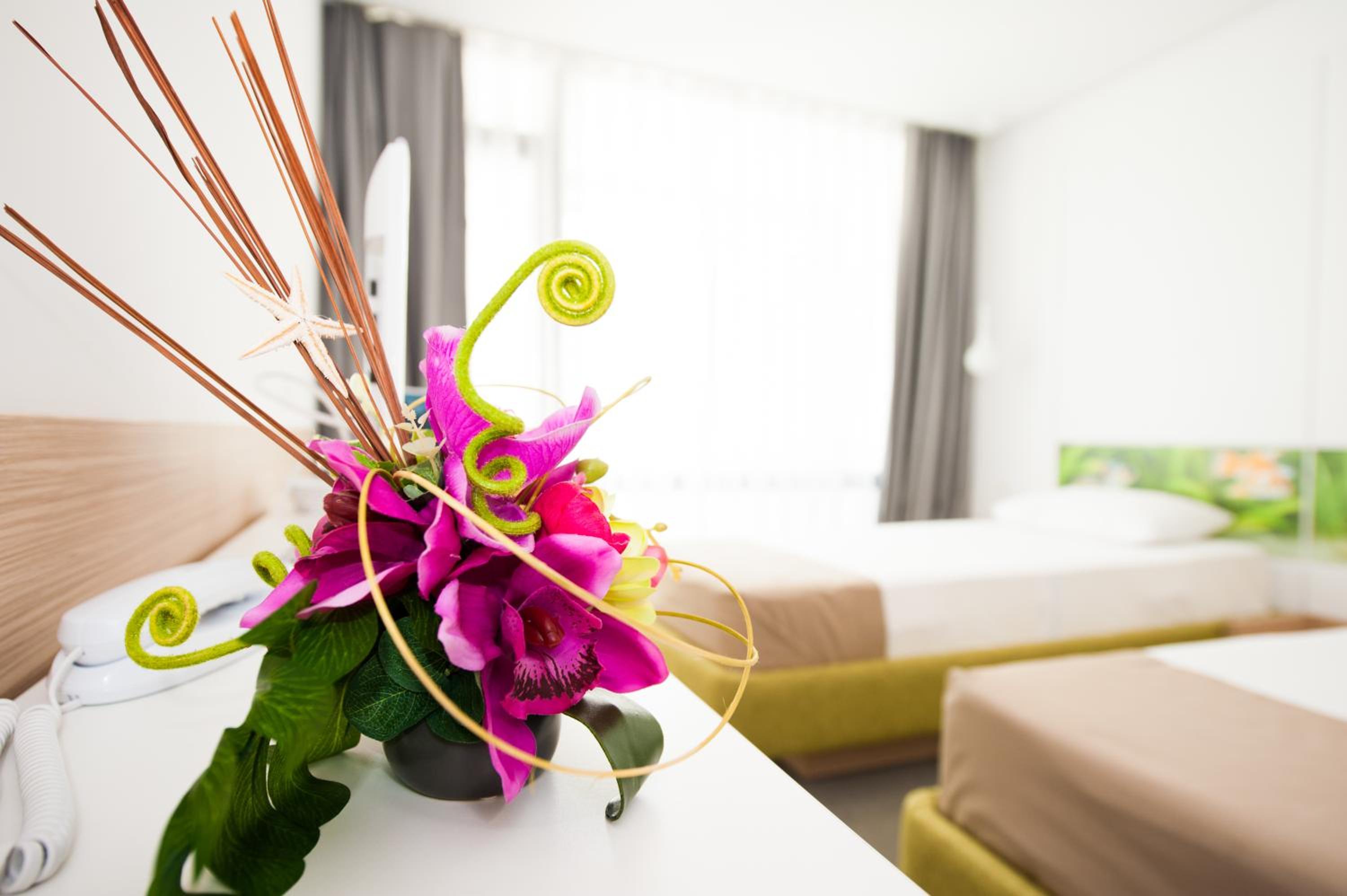 Hotel Melodia 32/50