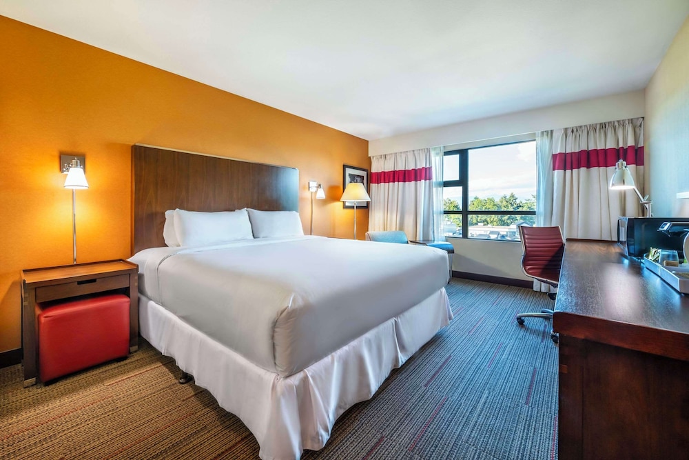 ROOM, KING BED