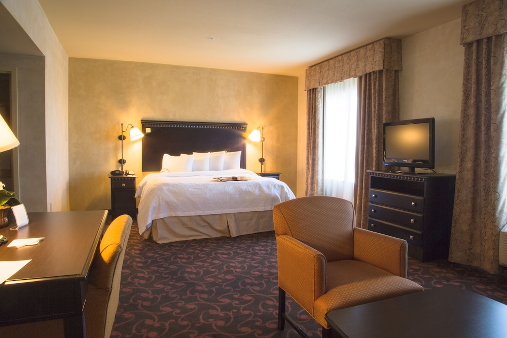Hampton Inn and Suites Dallas Arlington North Entertainment District 14/45