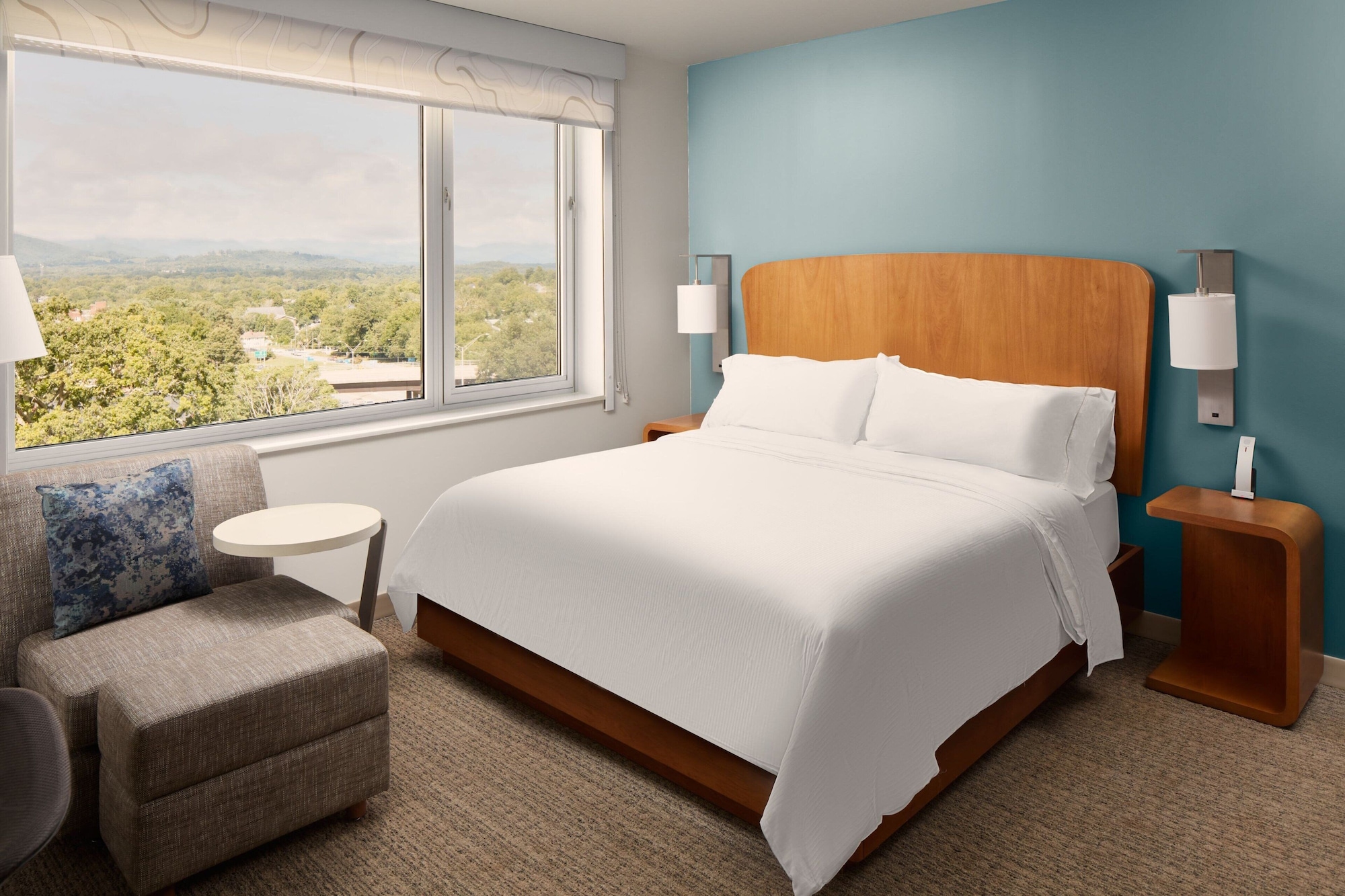 غرفة قياسية بسرير كينج بإطلالة على الجبل، Element Asheville Downtown 2/8