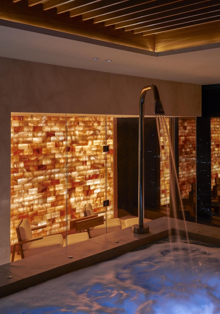 Park Hyatt Kuala Lumpur 42/71