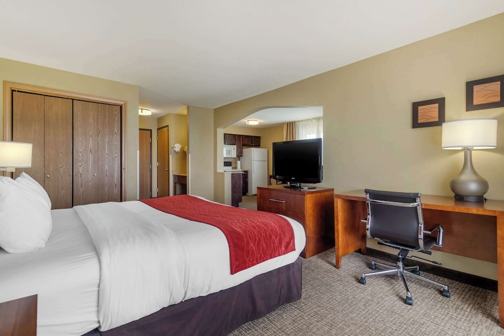 Efficiency, Suite, King Bed