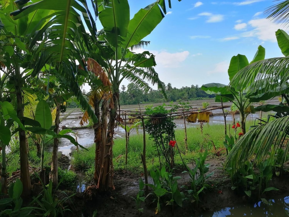 Viveka Inn Guest 22/43