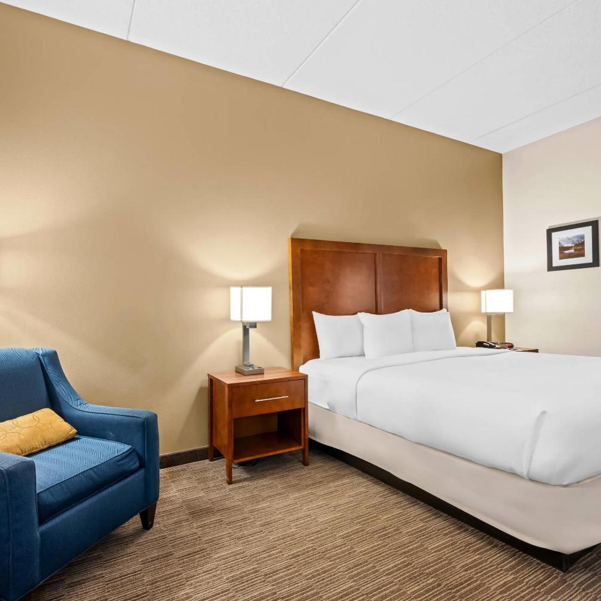 Suite, King Bed, Sofa