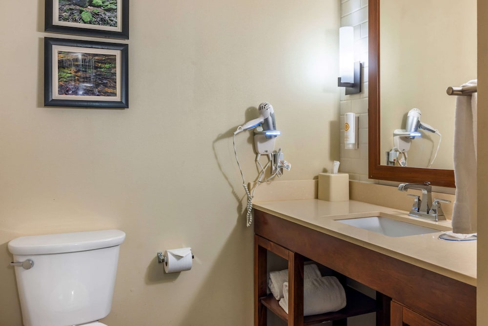 Comfort Inn & Suites At Crossplex Village 48/50
