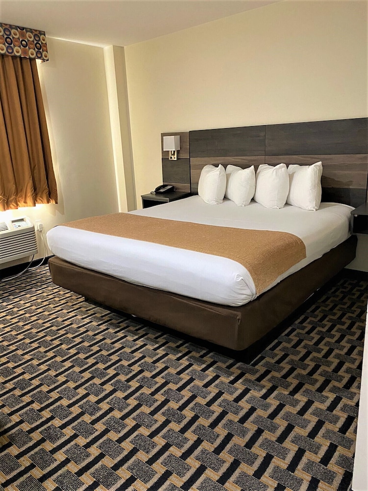BASIC, SINGLE, KING BED, ACCESSIBLE