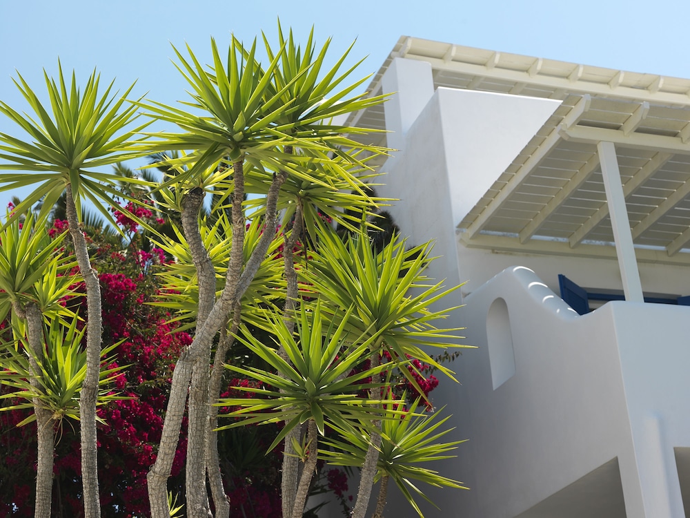 Aloni Hotel Paros 2/50