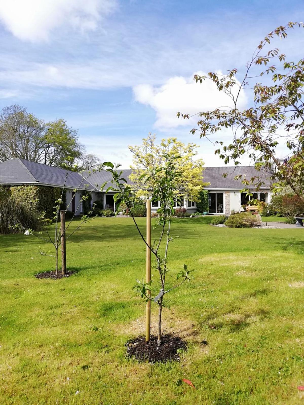 Applecroft House 16/17