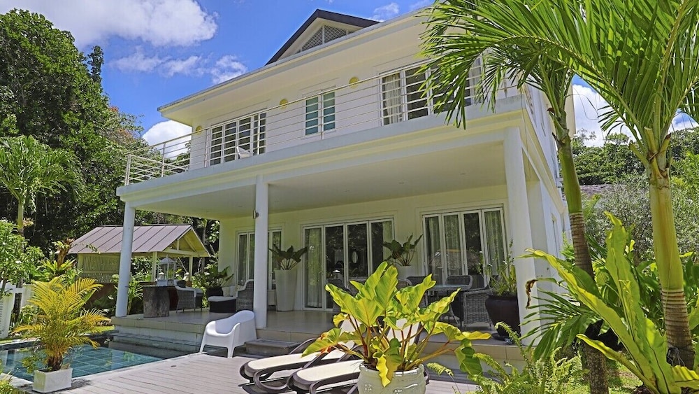 Chateau Elysium 8/50