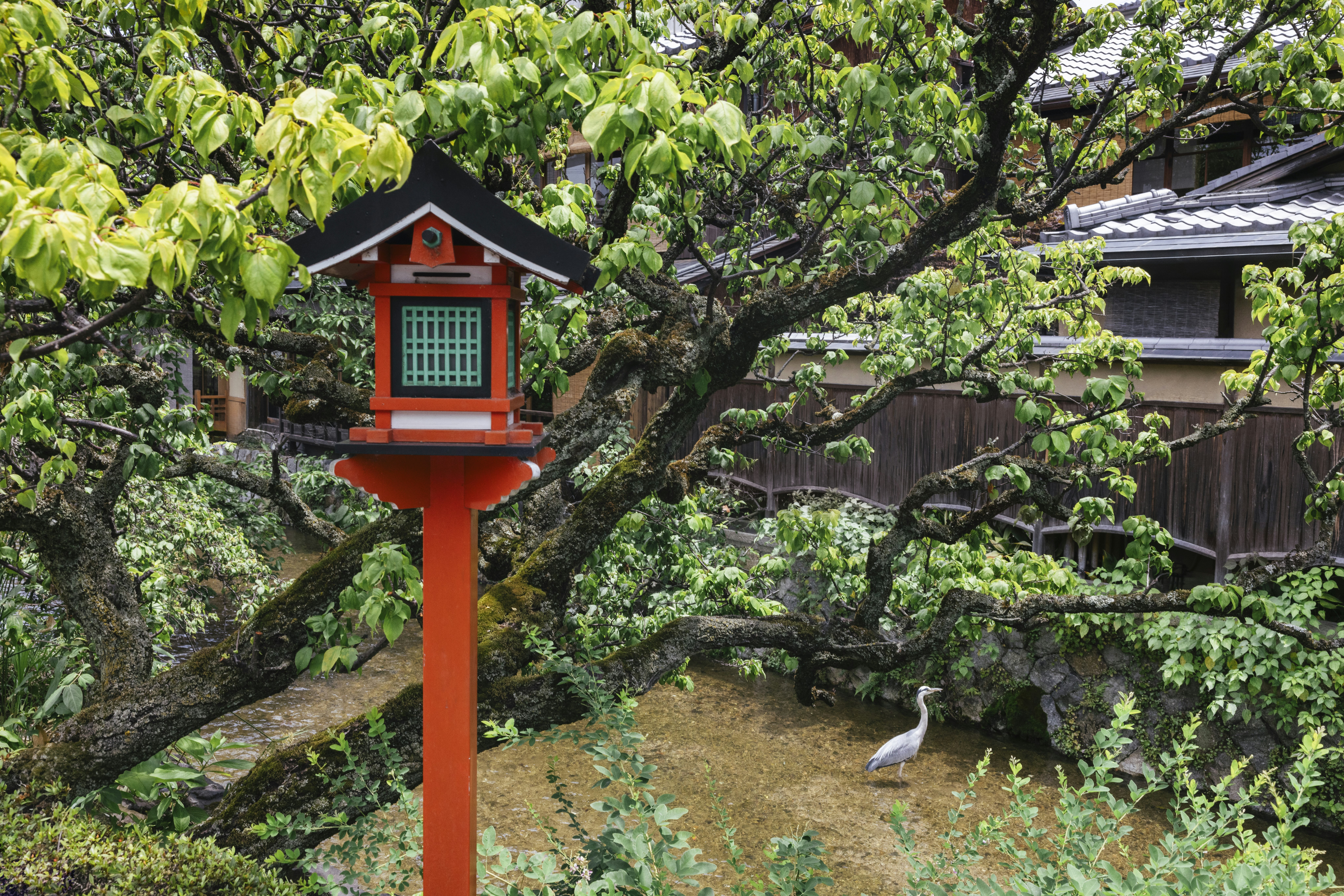 Six Senses Kyoto 47/50