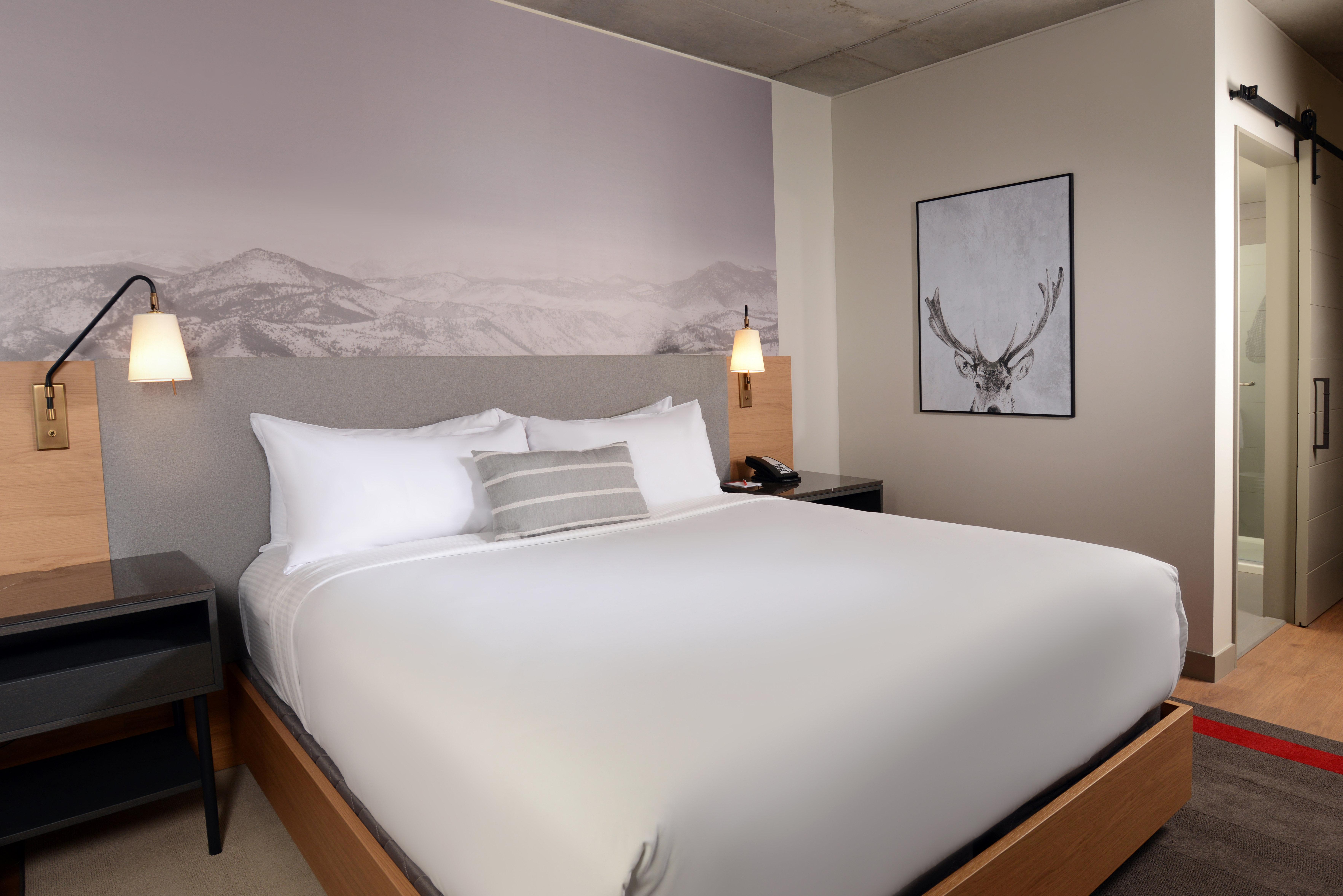 Standard, King Bed, High View