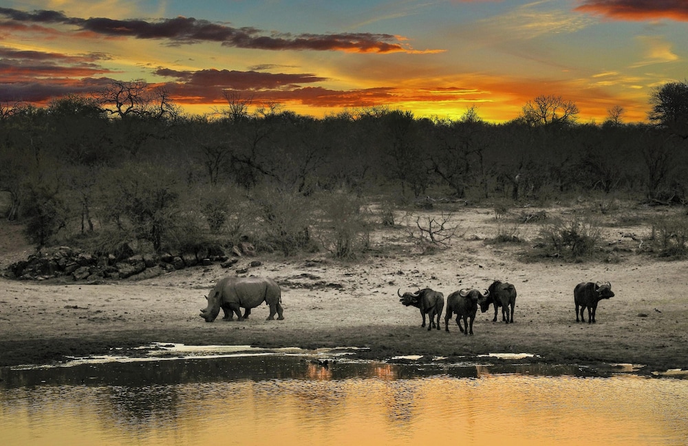La Kruger Lifestyle Lodge 60/69