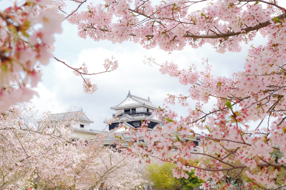 Matsuyama New Grand Hotel 44/50