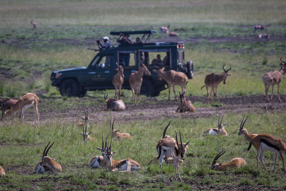 Sand River Masai Mara 36/43