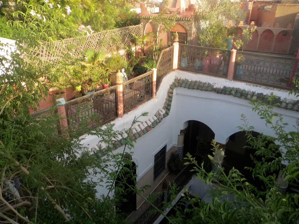 Riad Maizie 3/50