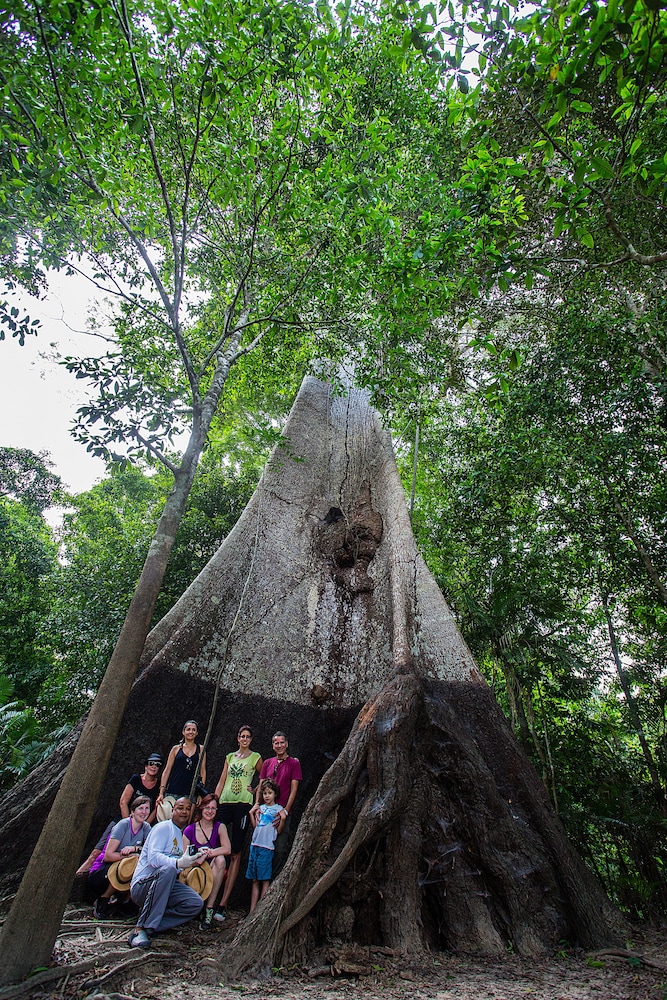 Juma Amazon Lodge 40/50
