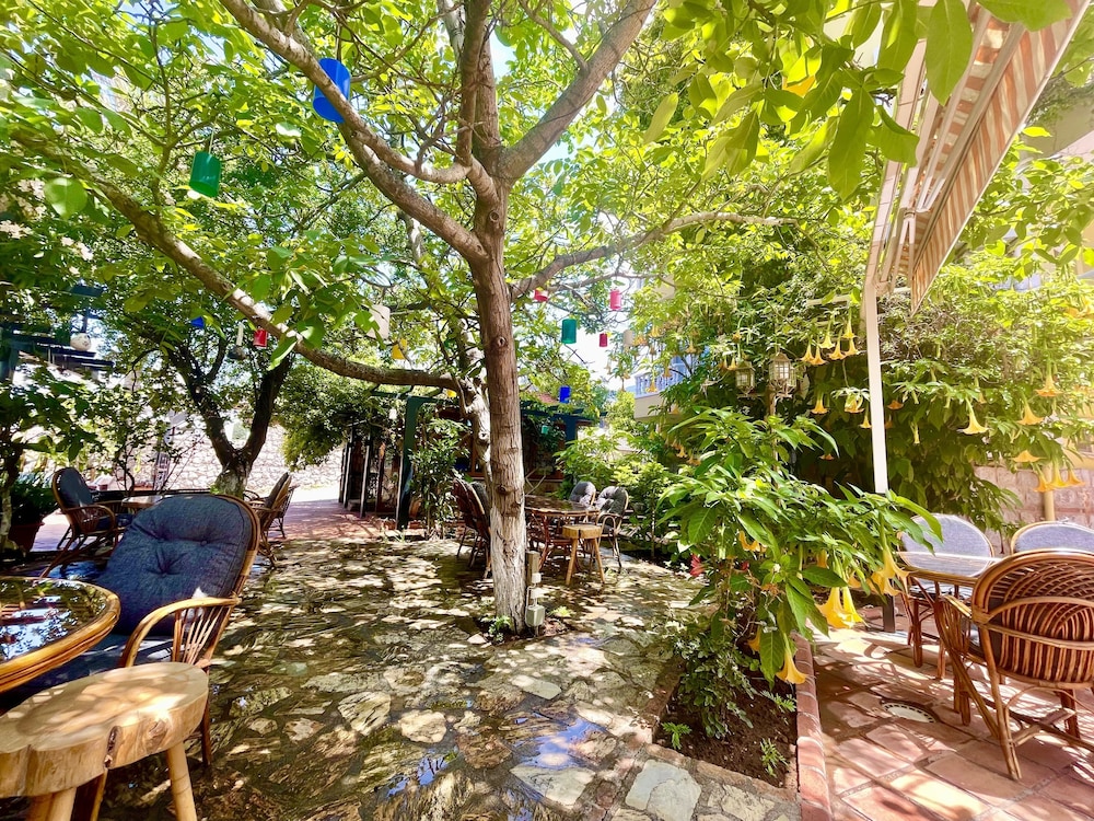 Mountain Valley Apart Hotel & Villas 22/50