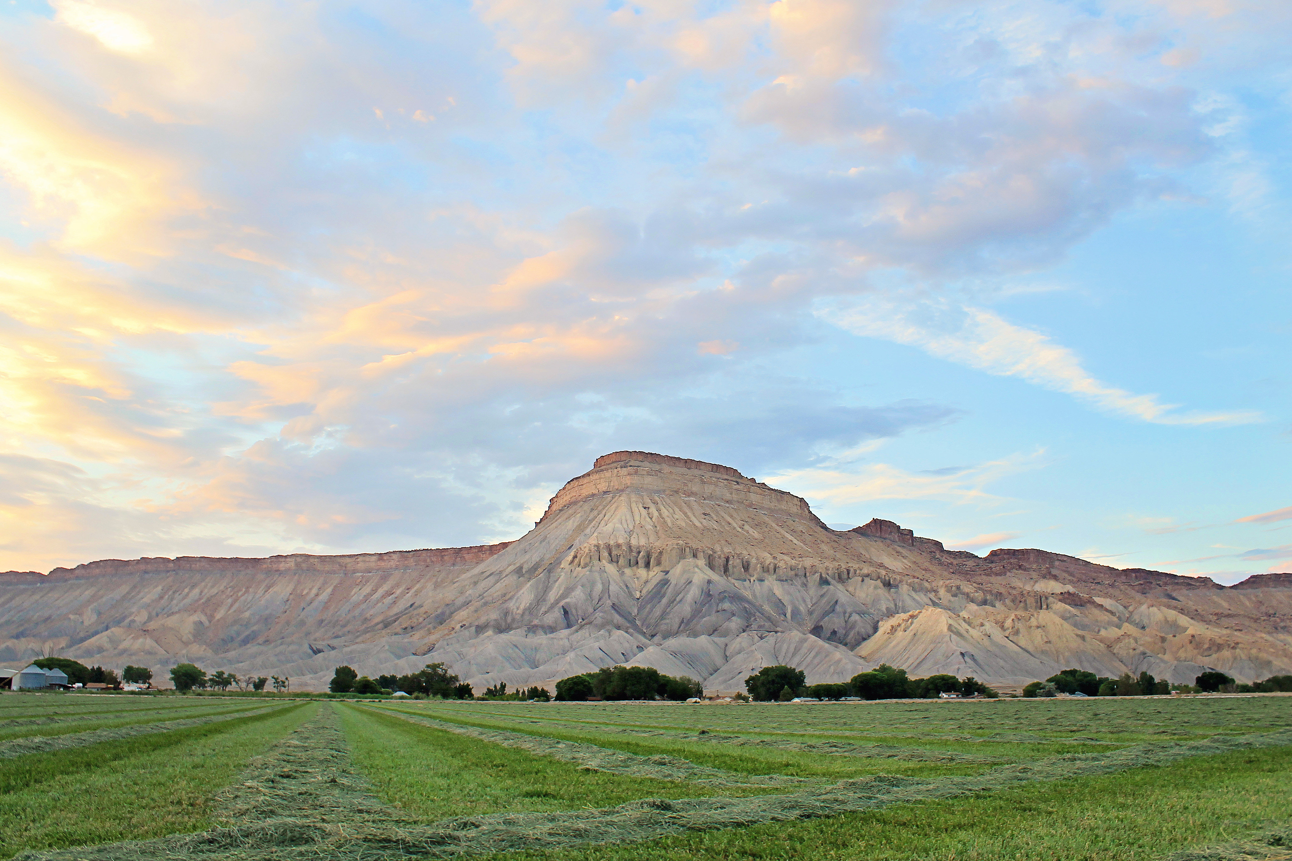 Holiday Inn Express Hotel Suites Grand Junction 92/96