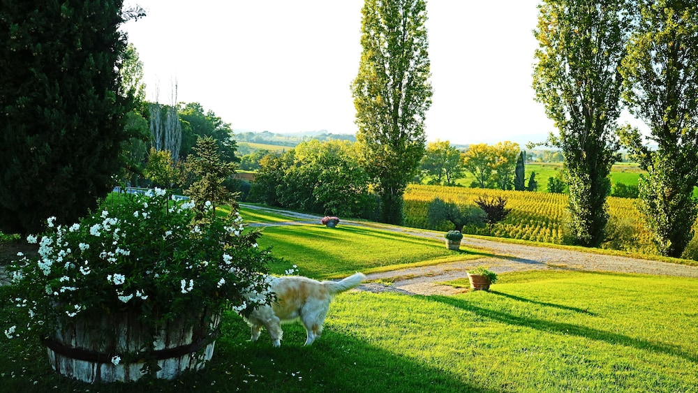 Agriturismo La Sovana 65/75