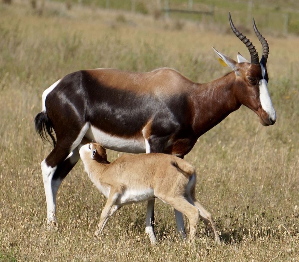 Kwetu Guest Farm 21/50