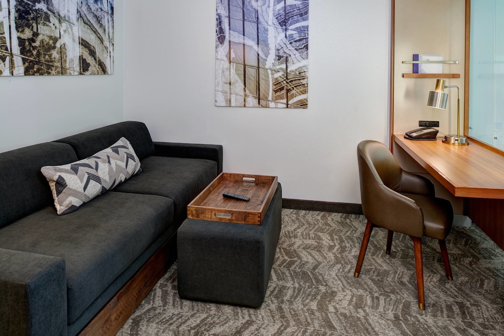 Springhill Suites By Marriott Saginaw 21/34
