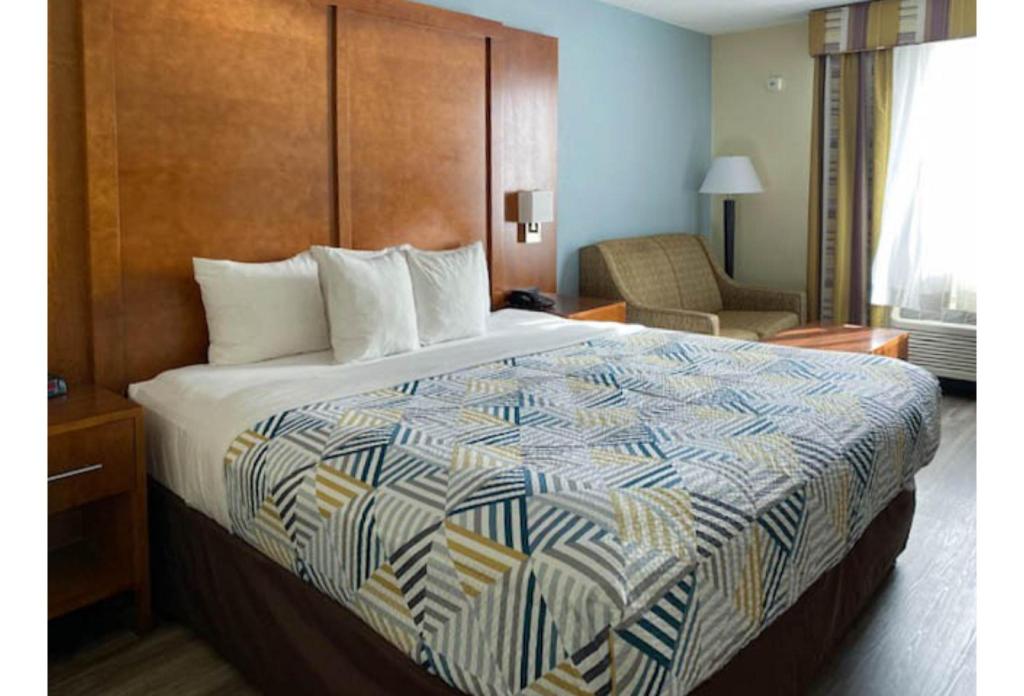 1 King Bed - Suite, Nsmk, Micfridge, Sofa-Bed