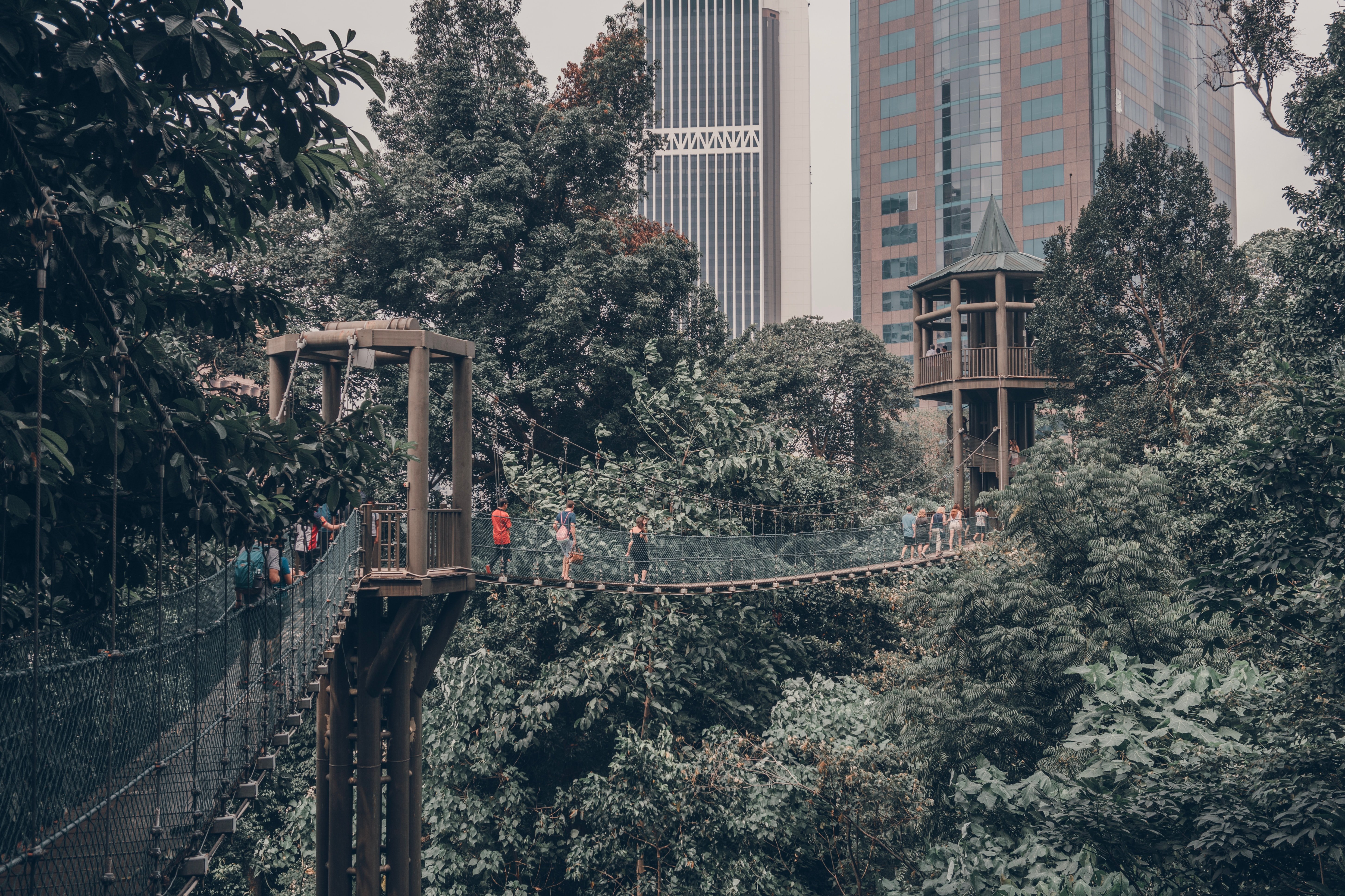 Hotel Indigo Kuala Lumpur on the Park 47/50