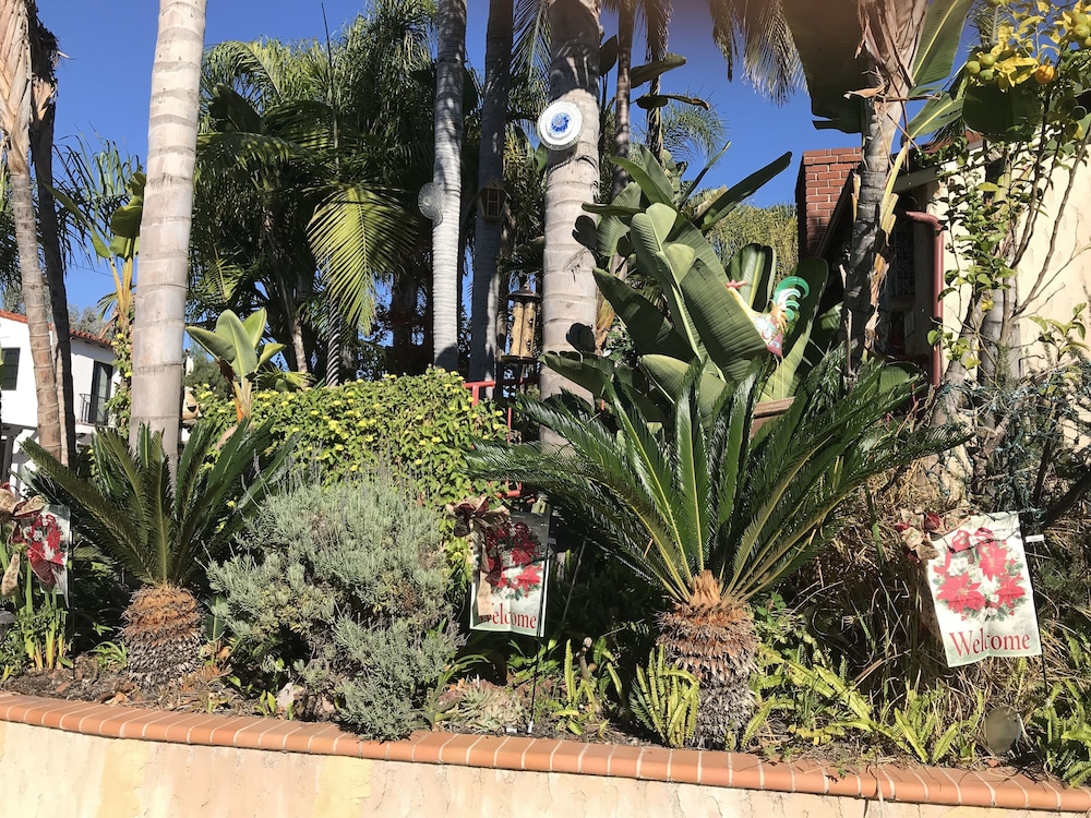 Always Inn San Clemente Bed Breakfast 59/65