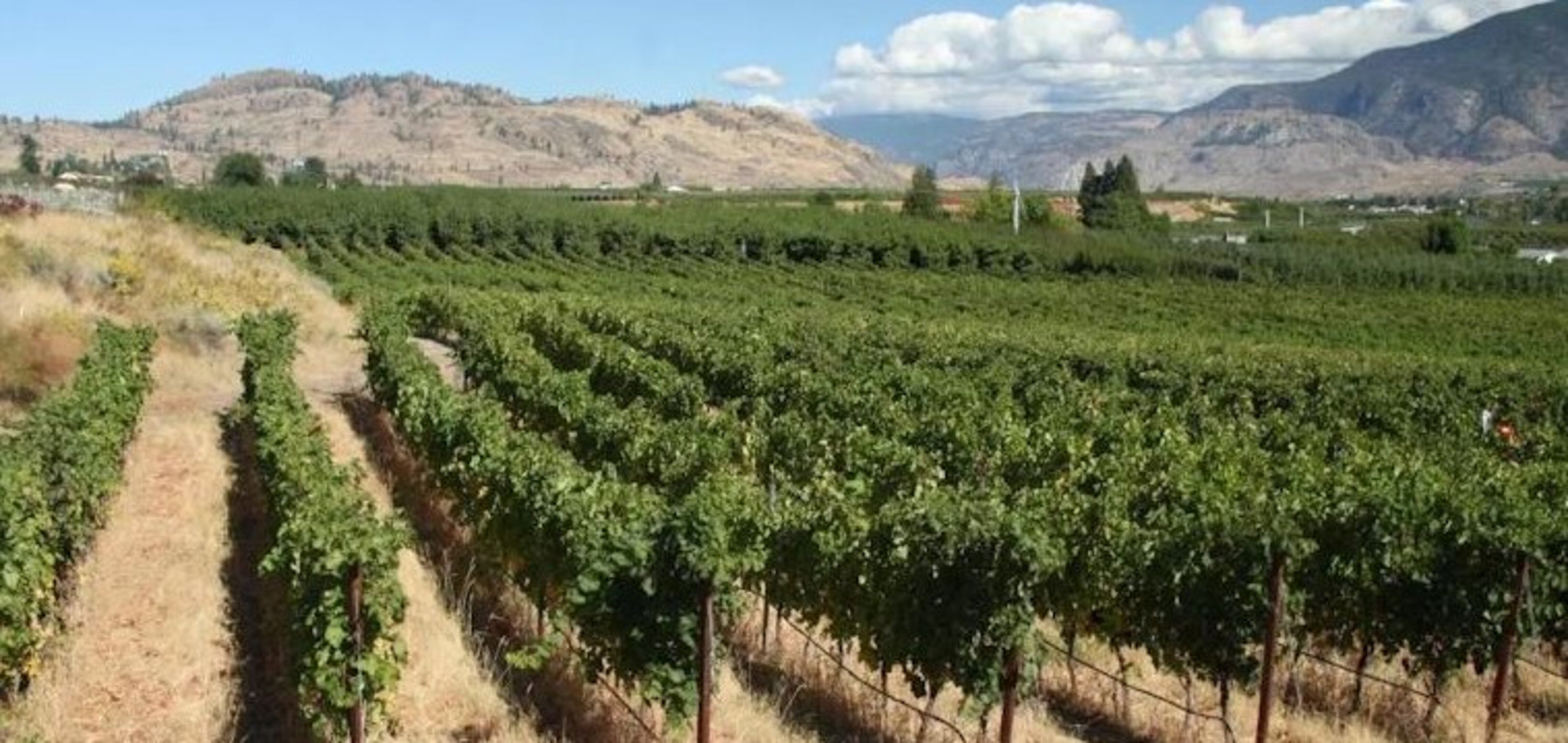 Holiday Inn Osoyoos 78/81