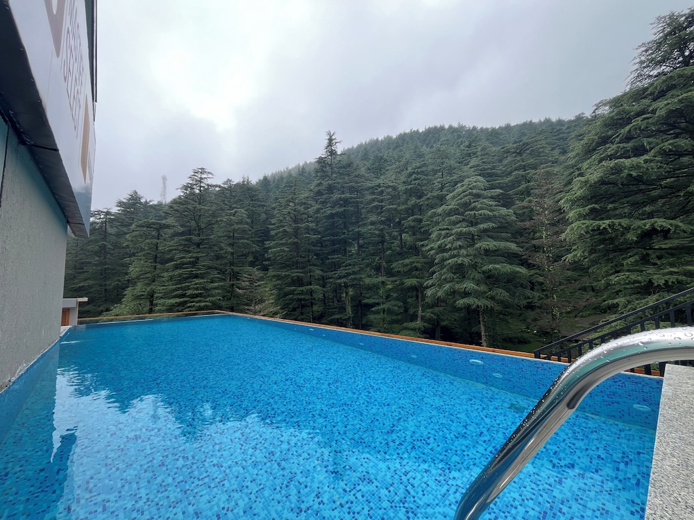 Mastiff Select Mandavya Dharamkot, McLeodganj 35/61