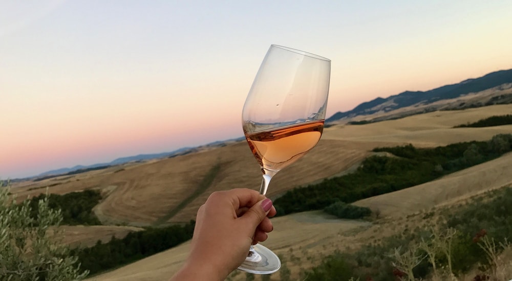 Agriturismo Podere Diacceroni 24/69